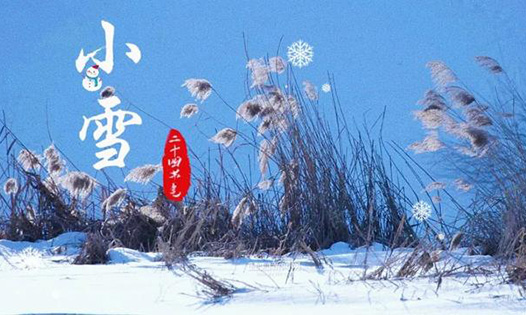 今日小雪丨天地初寒，愿歲月安暖